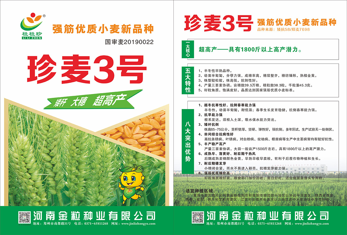 珍麥3號單頁
